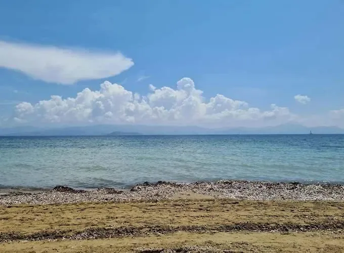 Corfu Frodo Few Moments From The