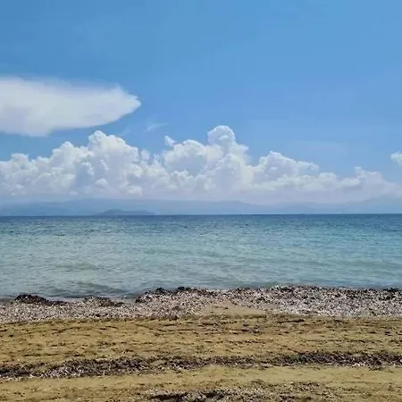 Corfu Frodo Few Moments From The